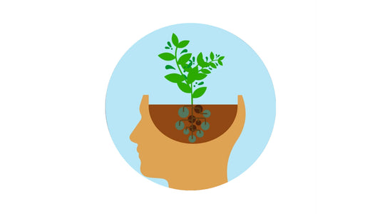 Growth vs. Fixed Mindsets: How They Differ and Why it Matters!